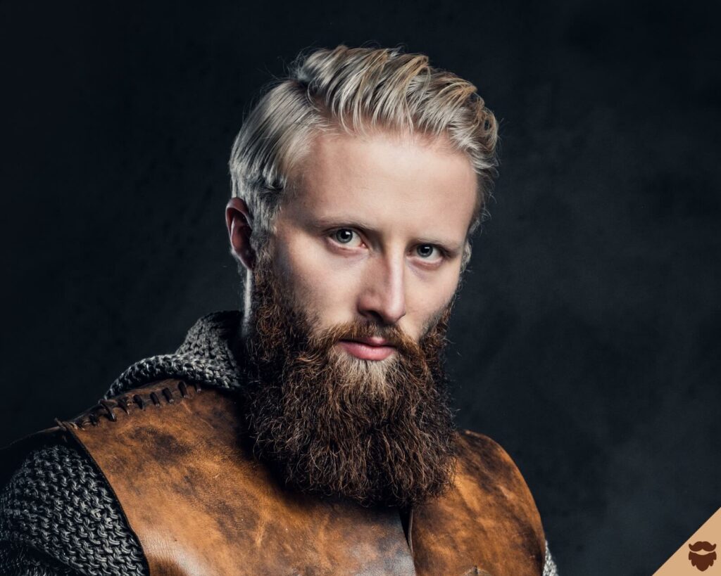 Viking warrior long beard