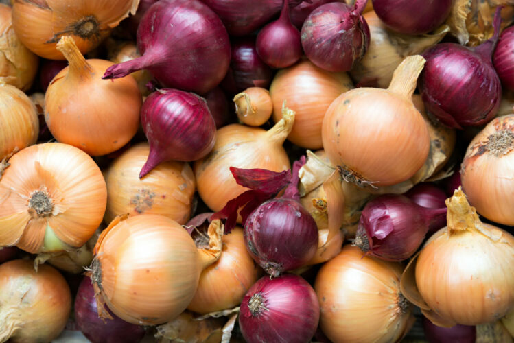 Use onion to grow a beard