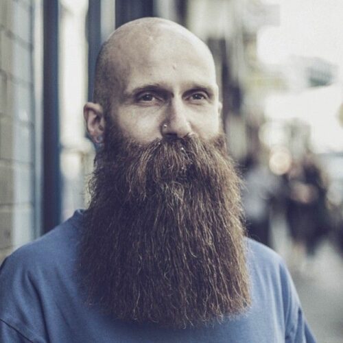 viking man beard long and thick