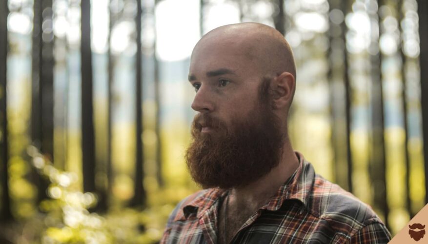 Redheaded man with shaved head and beard