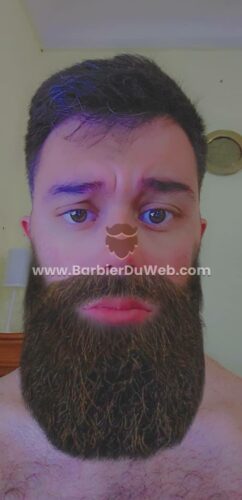 Efecto de filtro de barba añadir snapchat