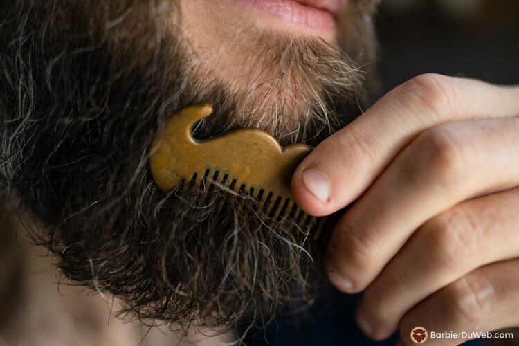 Beard comb with brush