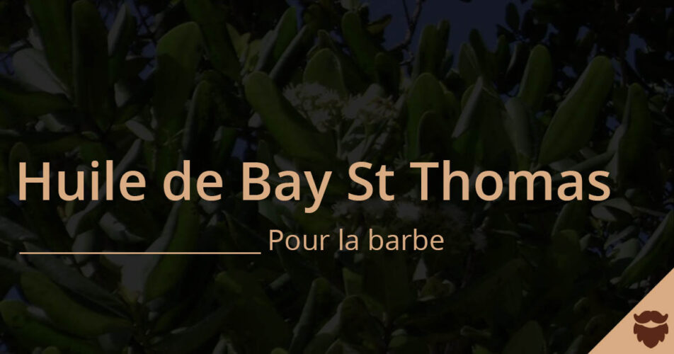 Essential oil of bay saint thomas for the beard