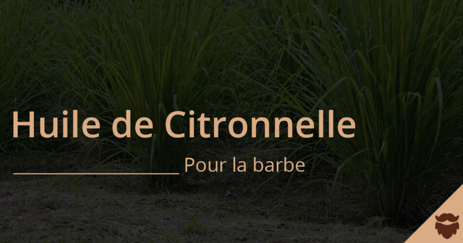 huile essentielle de citronnelle pour la barbe