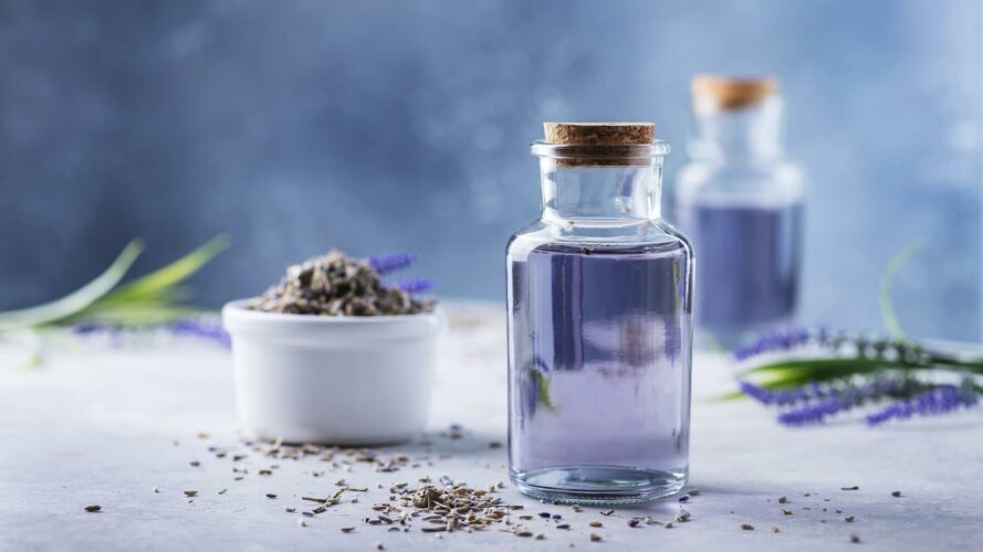 Essential oil of lavender beard