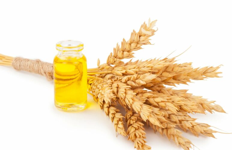 Oil of wheat germ for beards