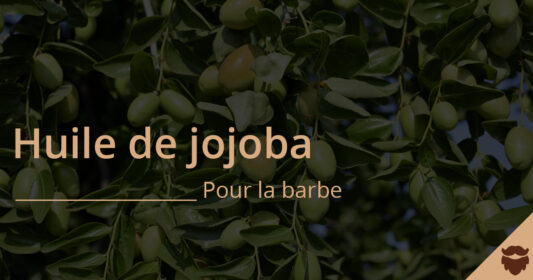 huile de jojoba pour la barbe