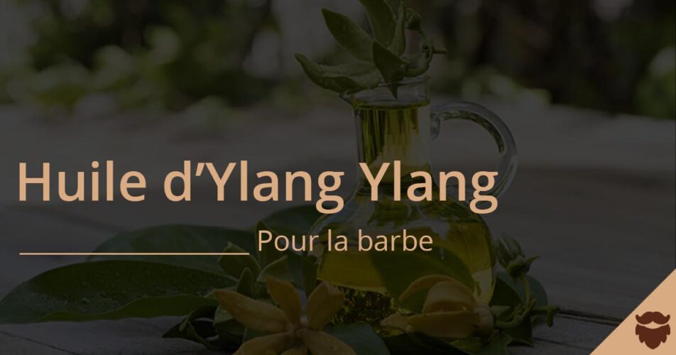 Huile d'ylang ylang pour la barbe