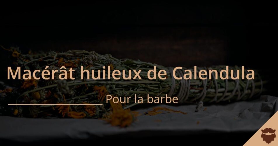 macérât huileux de Calendula pour la barbe