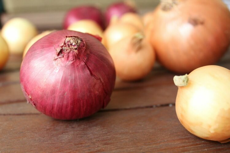Red and yellow onion