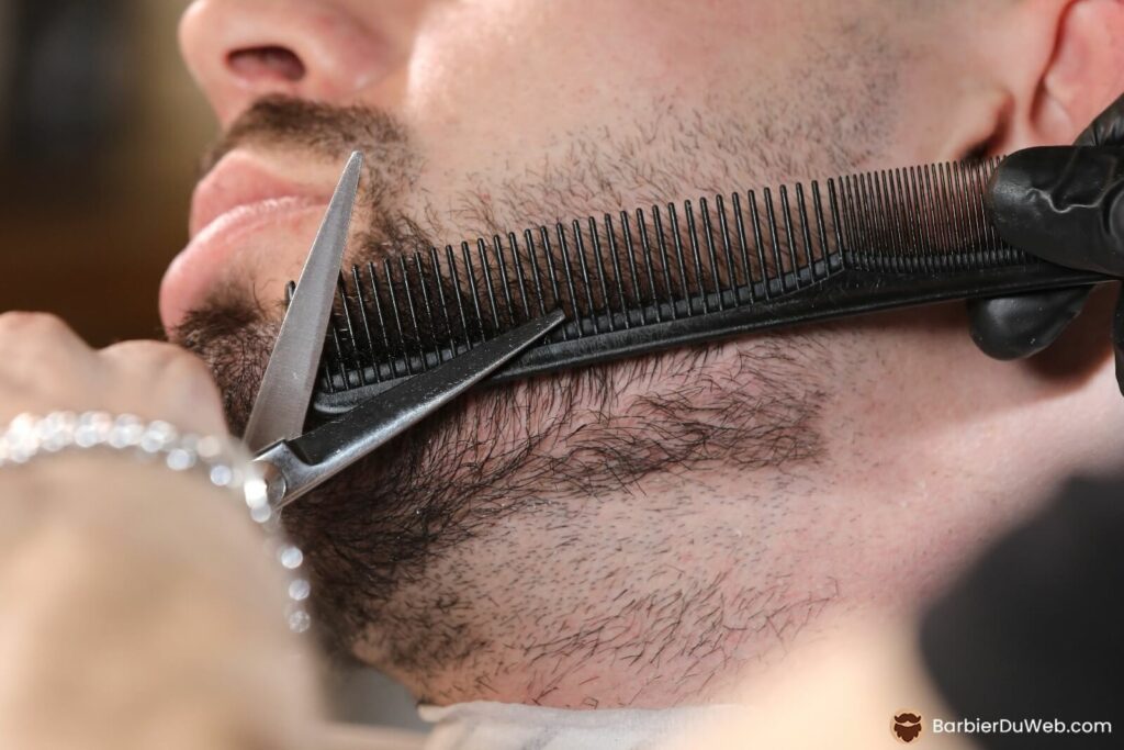 Beard care with a scissors comb