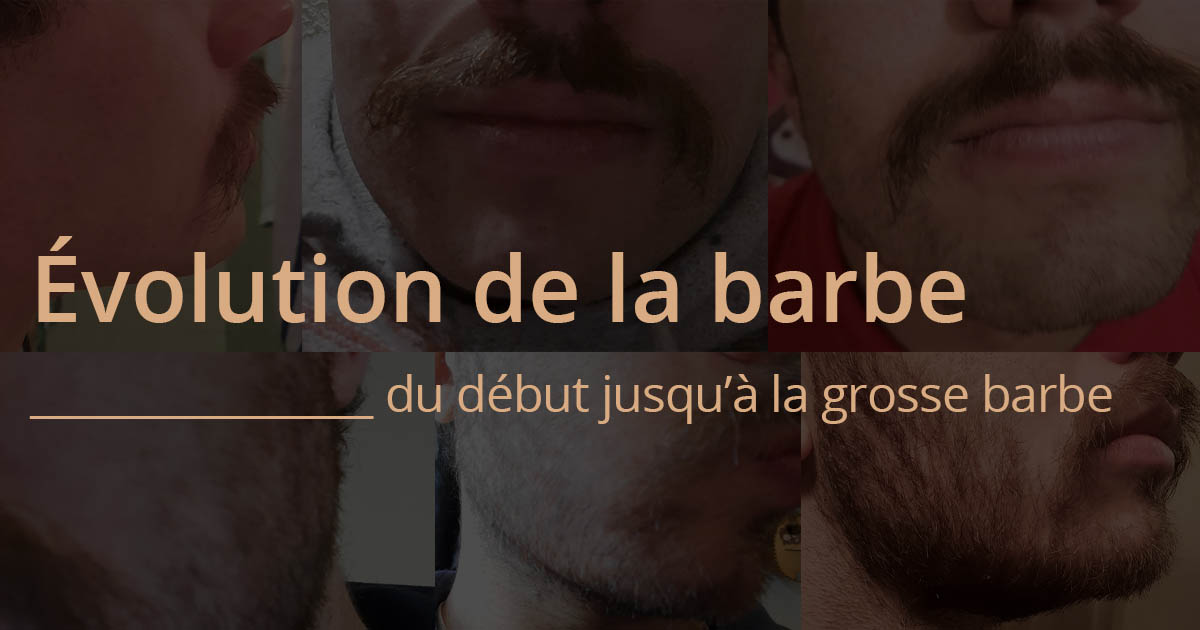 Évolution de la pousse de barbe