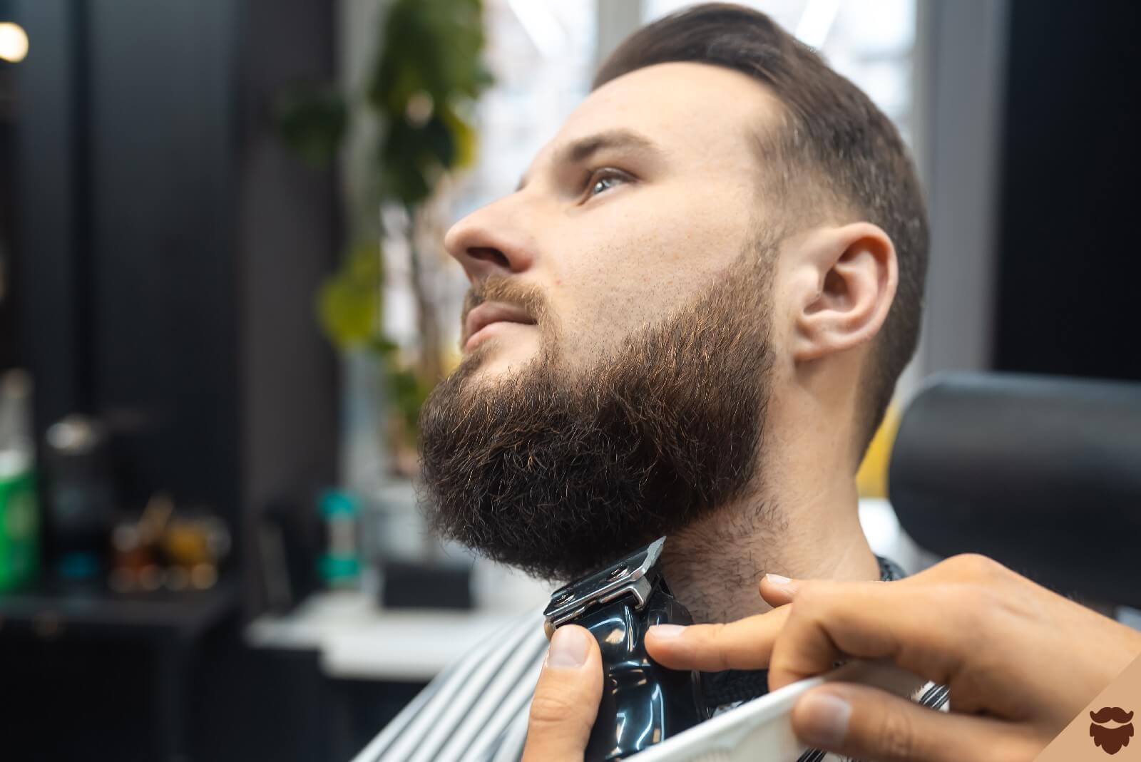 Mantén tu barba siempre perfecta con las mejores recortadoras de barba del  mercado
