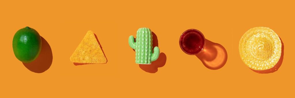 Mexican style sombrero tequila cactus tortilla lemon